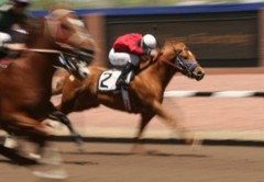 races