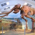 mammoth