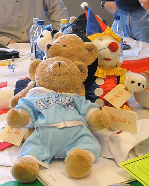team teddy