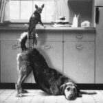 team building quote: team work
