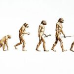 484132-church-says-sorry-to-charles-darwin-over-his-evolution-theory