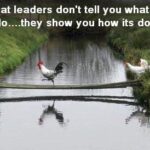 leader