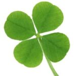 clover: team building theme