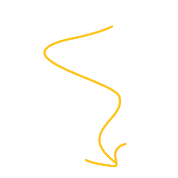 newsletter shape 1