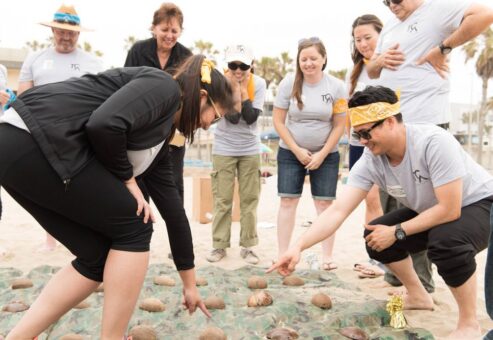 Participants strategize during a puzzle challenge on the beach as part of the Corporate Survivor team building event, focusing on teamwork and problem-solving.
