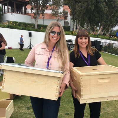 build a beehive thumbnail