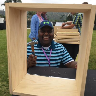 build a beehive thumbnail