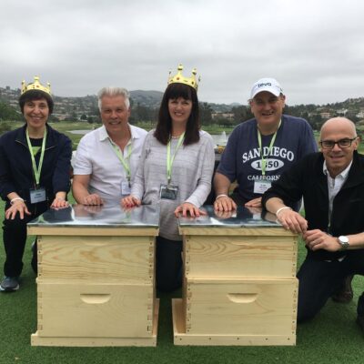 beehive building thumbnail