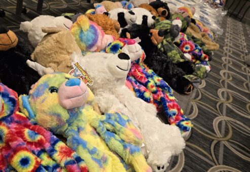 A row of colorful, tie-dye, and classic teddy bears lined up on a patterned carpet as part of the Team Teddy Rescue Bear event. The bears are ready to be dressed and completed as part of a charitable team building program.