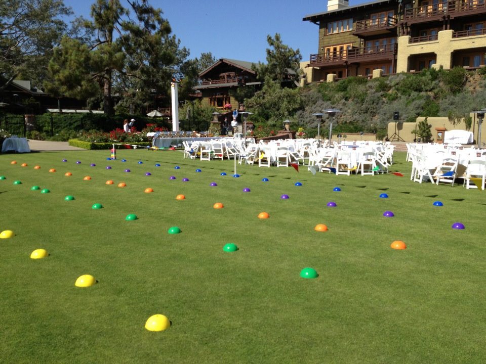 Wacky Corporate olympics