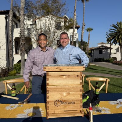 Featured Image For Build a Beehive Team Building Event