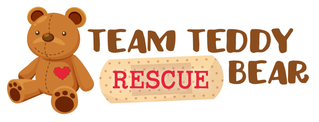 Teddy Bear Charity Team Building Program