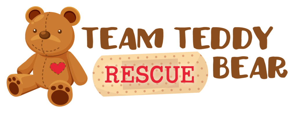 Teddy Bear Charity Team Building Program