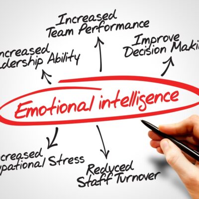 Image of the emotional intelligence with personal capabilities breakdown