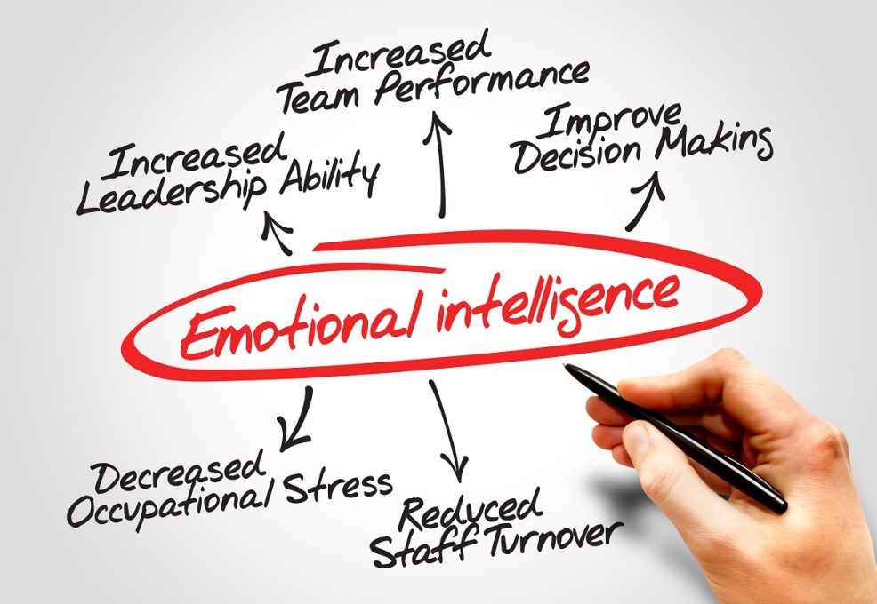 Image of the emotional intelligence with personal capabilities breakdown