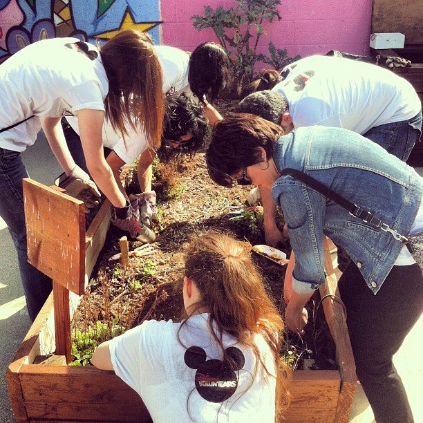 Employees United for Planting