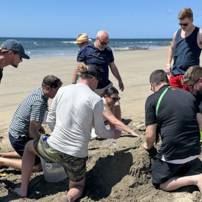 A group of participants collaborating on building a sand sculpture during a sand sculpting team building event at the beach. thumbnail