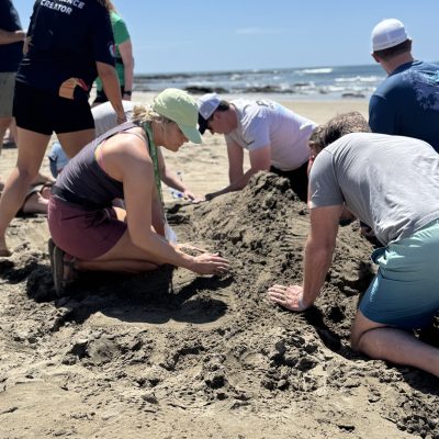 Team members working together to shape a sand sculpture during a sand sculpting team building event on the beach. thumbnail