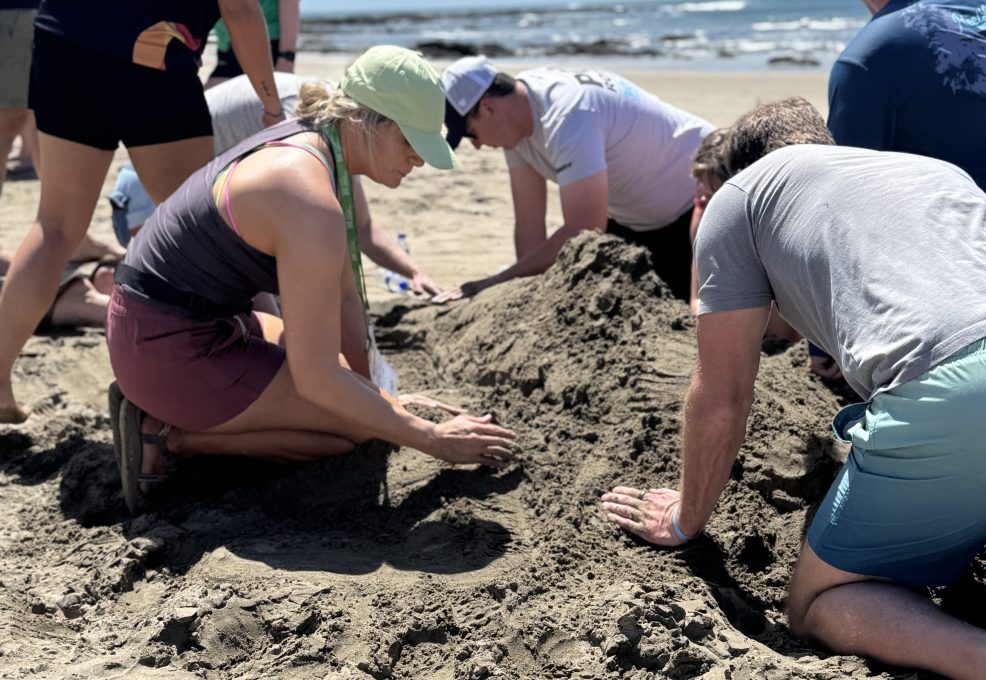Team members working together to shape a sand sculpture during a sand sculpting team building event on the beach.