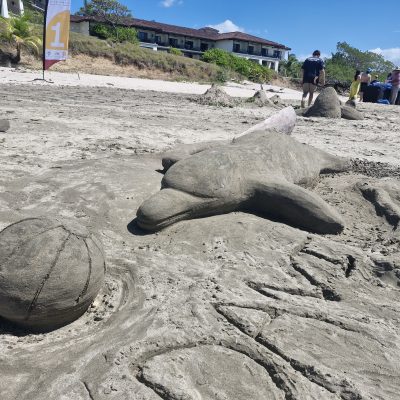 A creative sand sculpture of a dolphin playing with a ball, crafted during a collaborative sand sculpting team building event on the beach. thumbnail