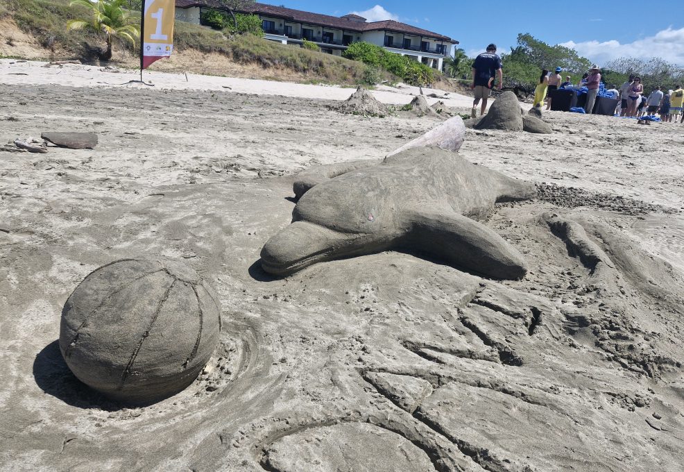 A creative sand sculpture of a dolphin playing with a ball, crafted during a collaborative sand sculpting team building event on the beach.