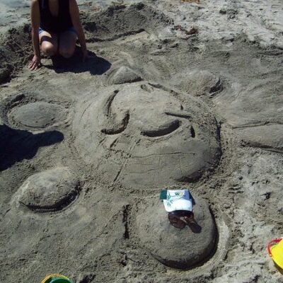 A team member showcasing their creative sand sculpting skills by shaping a detailed turtle figure at a sand sculpting team building event on the beach. thumbnail