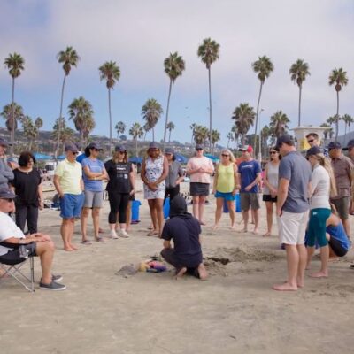 Featured Image For Sand Sculpting Event