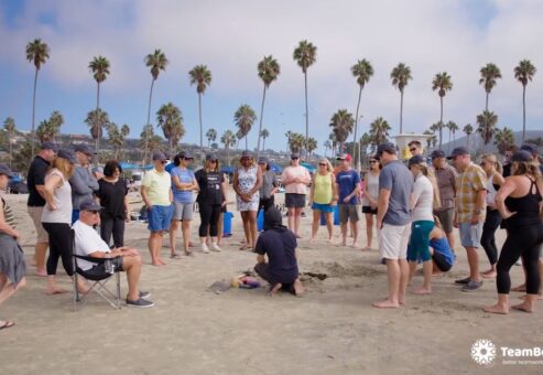 Video Thumb For Sand Sculpting