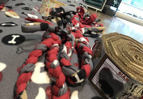 Video Thumb For Paws For A Cause