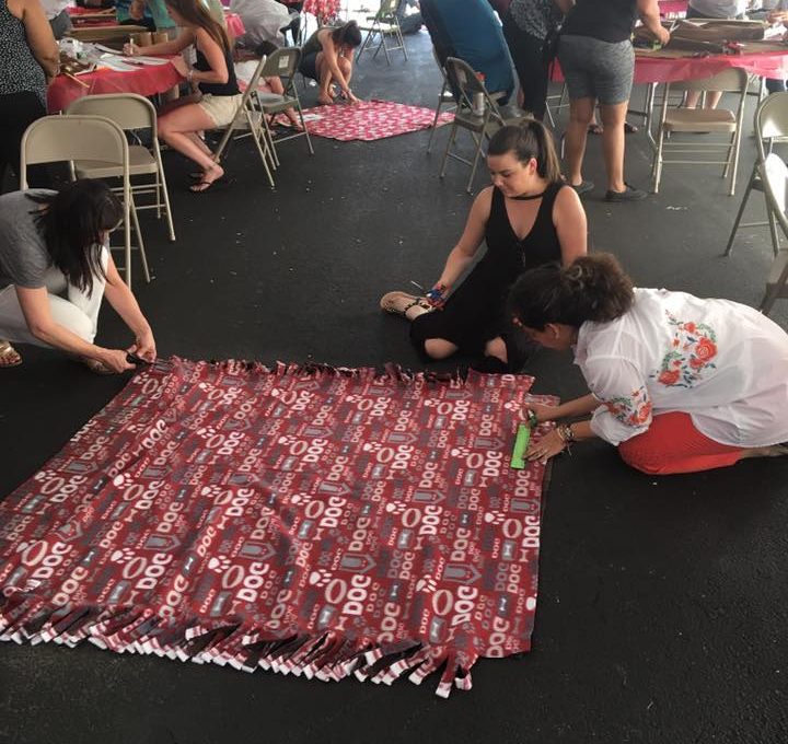 Participants at the Paws For A Cause team building event collaborate on creating colorful pull toys and cat scratch pads, crafting donations for local animal shelters to support animals in need.