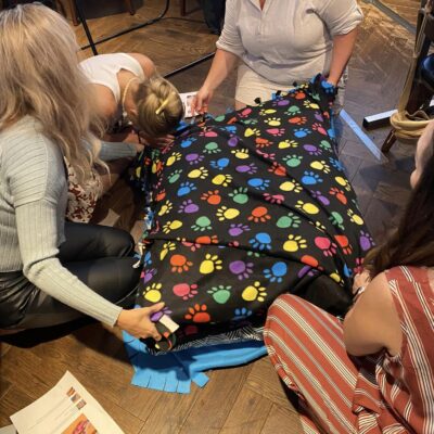 Team members at the Paws For A Cause event work together to craft a colorful dog bed, which will be donated to a local animal shelter as part of this philanthropic team building initiative. thumbnail