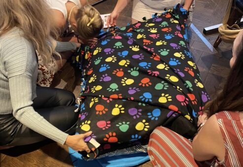 Team members at the Paws For A Cause event work together to craft a colorful dog bed, which will be donated to a local animal shelter as part of this philanthropic team building initiative.