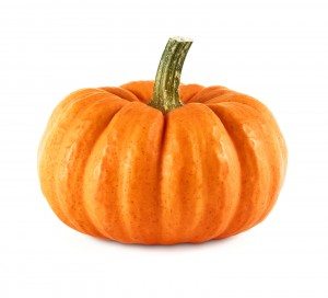 Featured Image For Catapult to Success | Pumpkin-Style Team Building Post