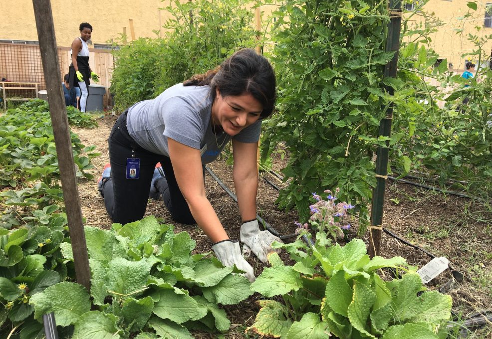Featured Category Environmental Team Building Activities