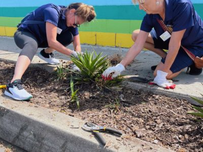 Spring Team Building