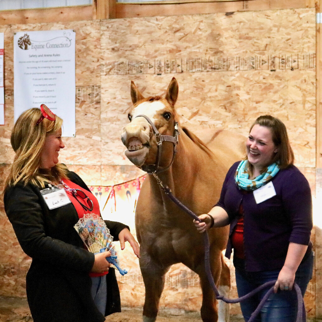 team building activity with horses