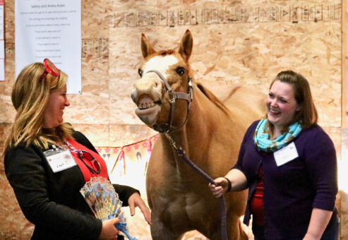 team building activity with horses