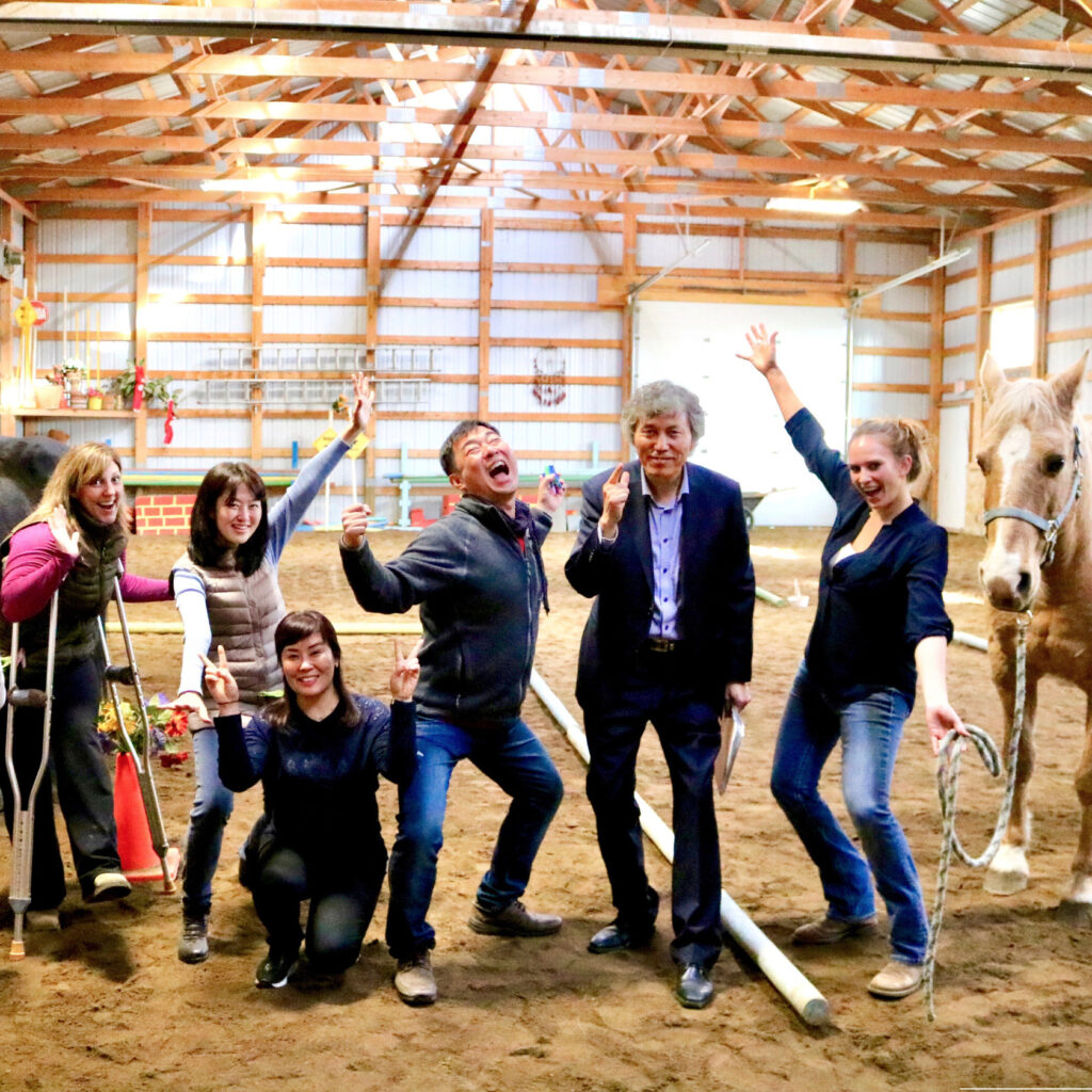 horse training team building