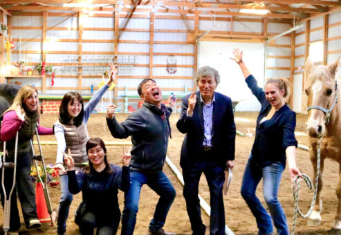 horse training team building