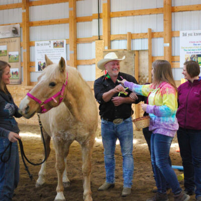 Group of people enjoying clips with the horse