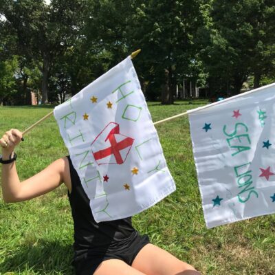 make a team flag