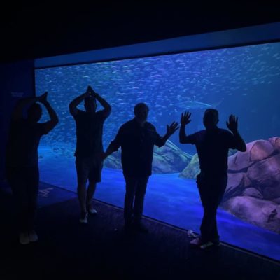 Team members posing playfully in front of an aquarium, mimicking sea life during a Mystery Bus team building adventure, enjoying a surprise destination. thumbnail