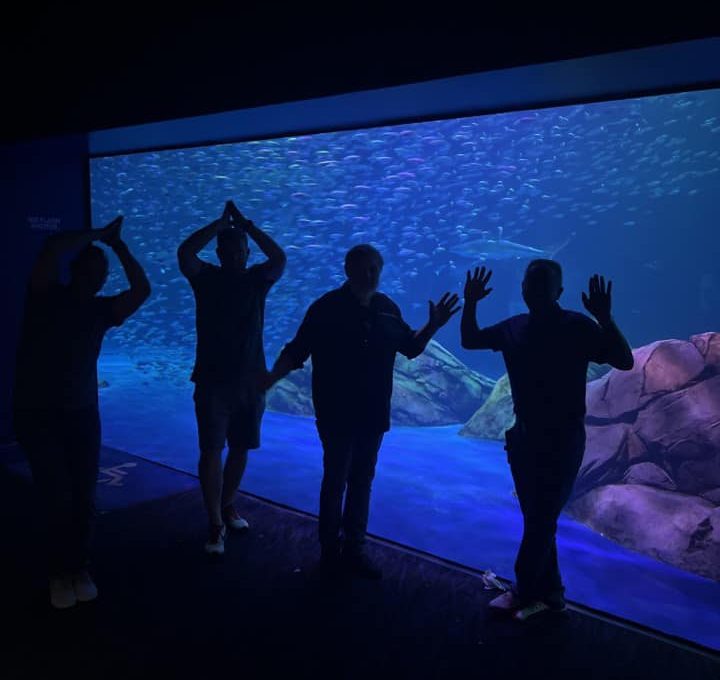 Team members posing playfully in front of an aquarium, mimicking sea life during a Mystery Bus team building adventure, enjoying a surprise destination.