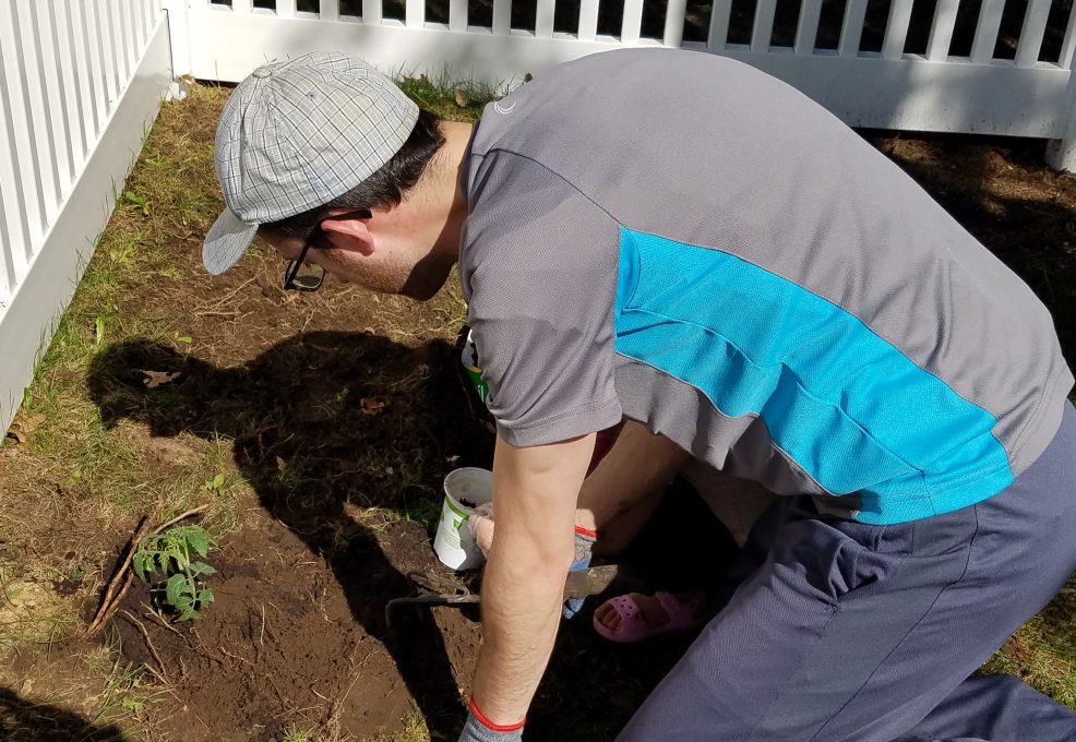 Employees participate in tree planting event