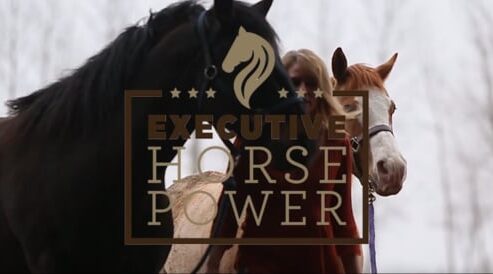 Video Thumb For Executive Horse Power