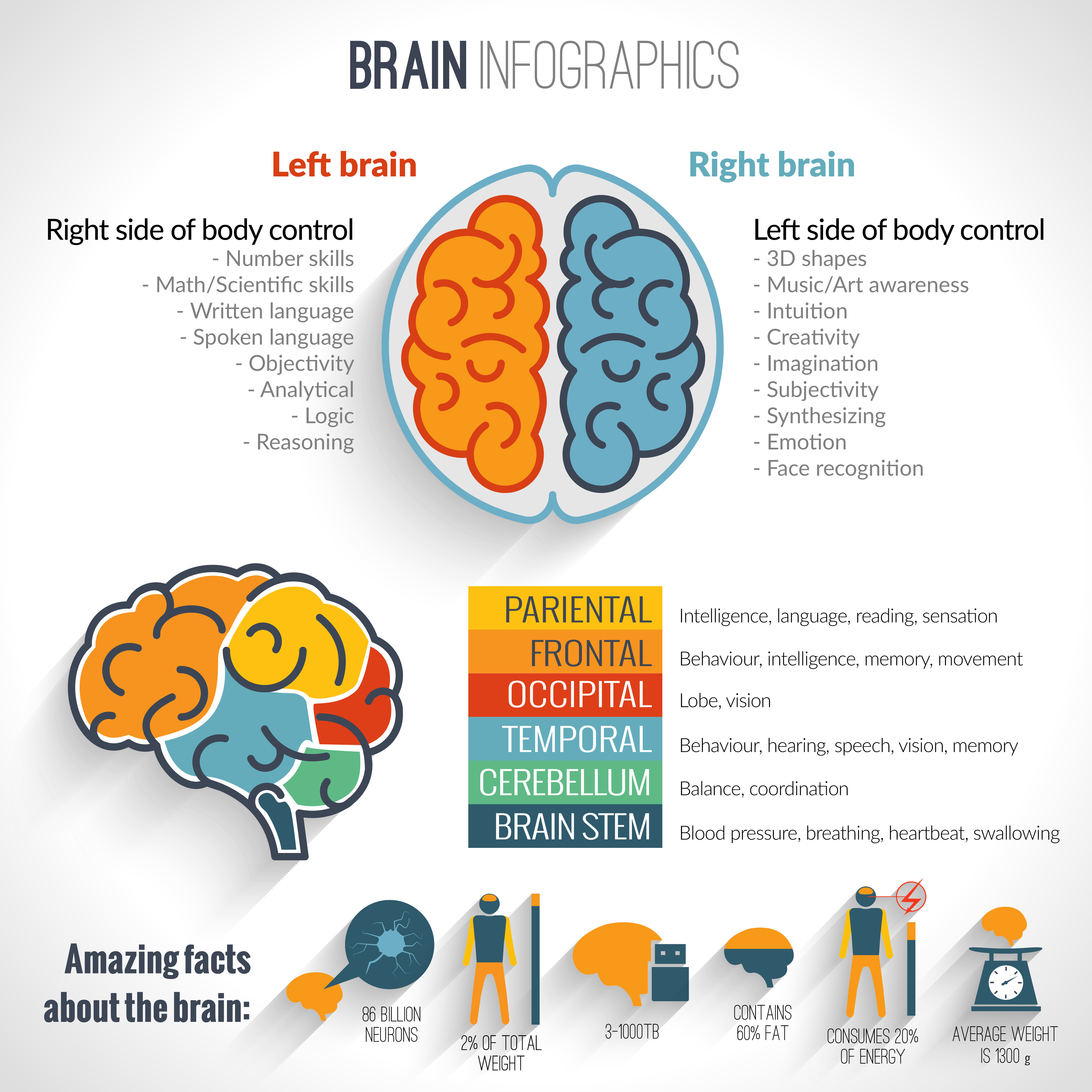 right-brain thinking also plays a vital role in the business world