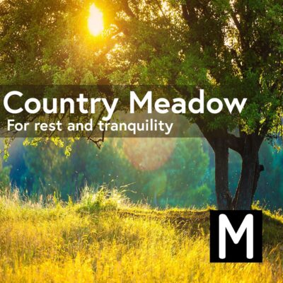 Country Meadow Meditation