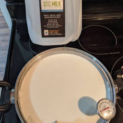 Say Cheese! thumbnail