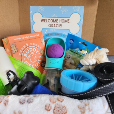 Foster Pet Care Kits Featured Image