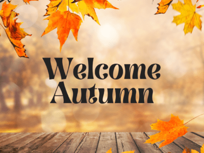 Autumn Team Building